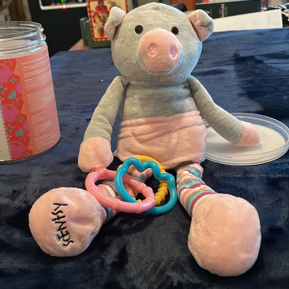 Retired and Scentsy doesn’t even make them. Scentsy Sidekick Pippy the Pig 🐷